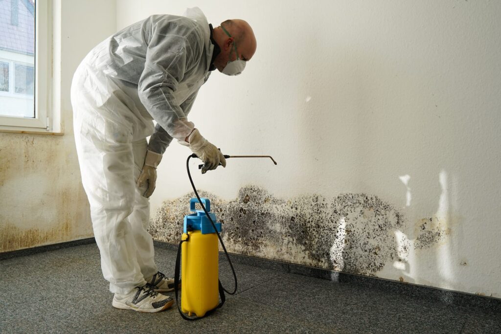 How Much Does Mold Remediation Cost Per Square Foot in Las Vegas?